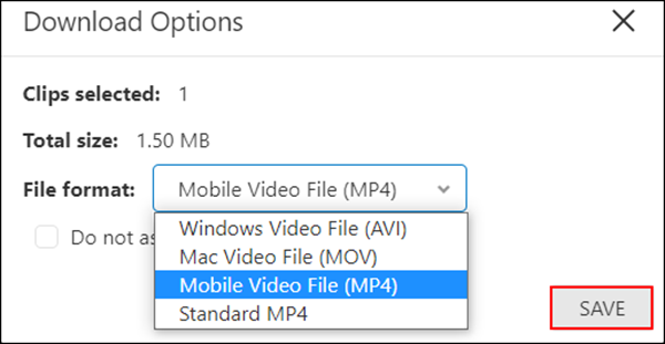 image of the file format select options